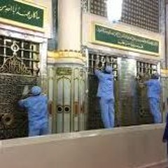 يا أيها المختار للمعتصم بالله العسلي