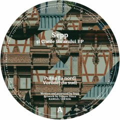 RWX06 - Sepp - Și Cheile Bicazului EP (RAWAX)