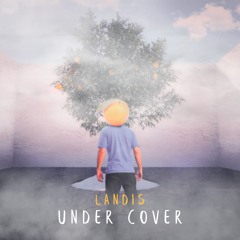 Under Cover (Original Mix)