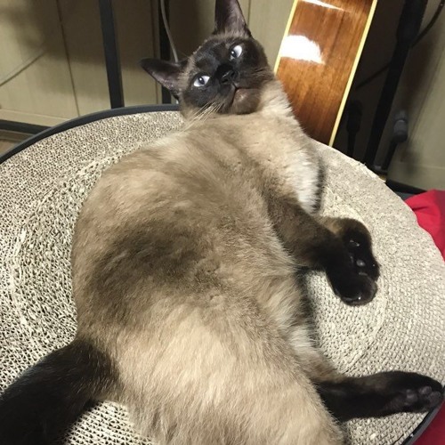 Stream Bam2-1 by Bam2 | Listen online for free on SoundCloud