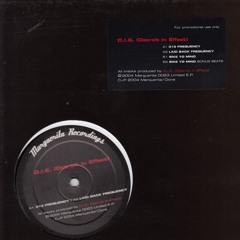 Detroit In Effect - 313 Frequency (A1)