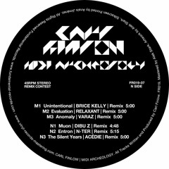 Silicon Scally (Carl Finlow) - Entron N-TER Remix | Preview | Coming soon