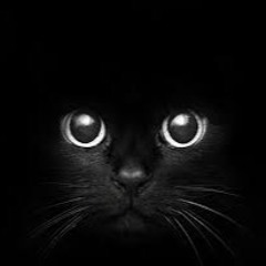 Jet Black (Ep. 11)