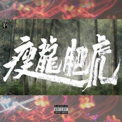 瘦龍肥虎SoullongFreeHood - 音樂是生命