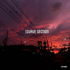 SUAVE SECTION [SMTH001]