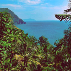 Smu - Paradise