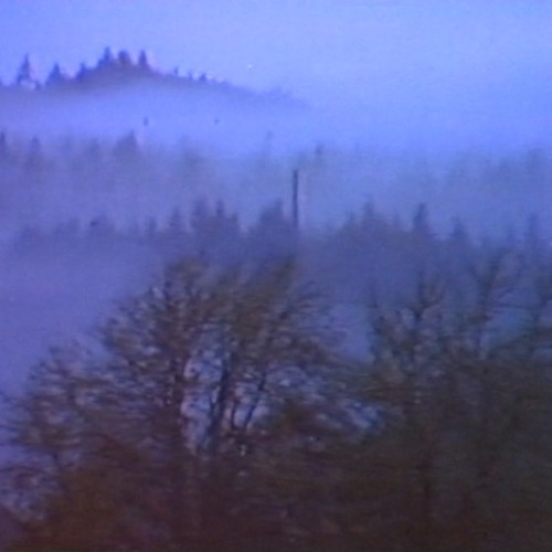 MyEntireWrldIsBroken