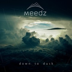 Meedz - Make It True