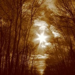 Smothering Light - 320