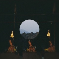 Jonas Langer x Still Still - Sunken Lotus