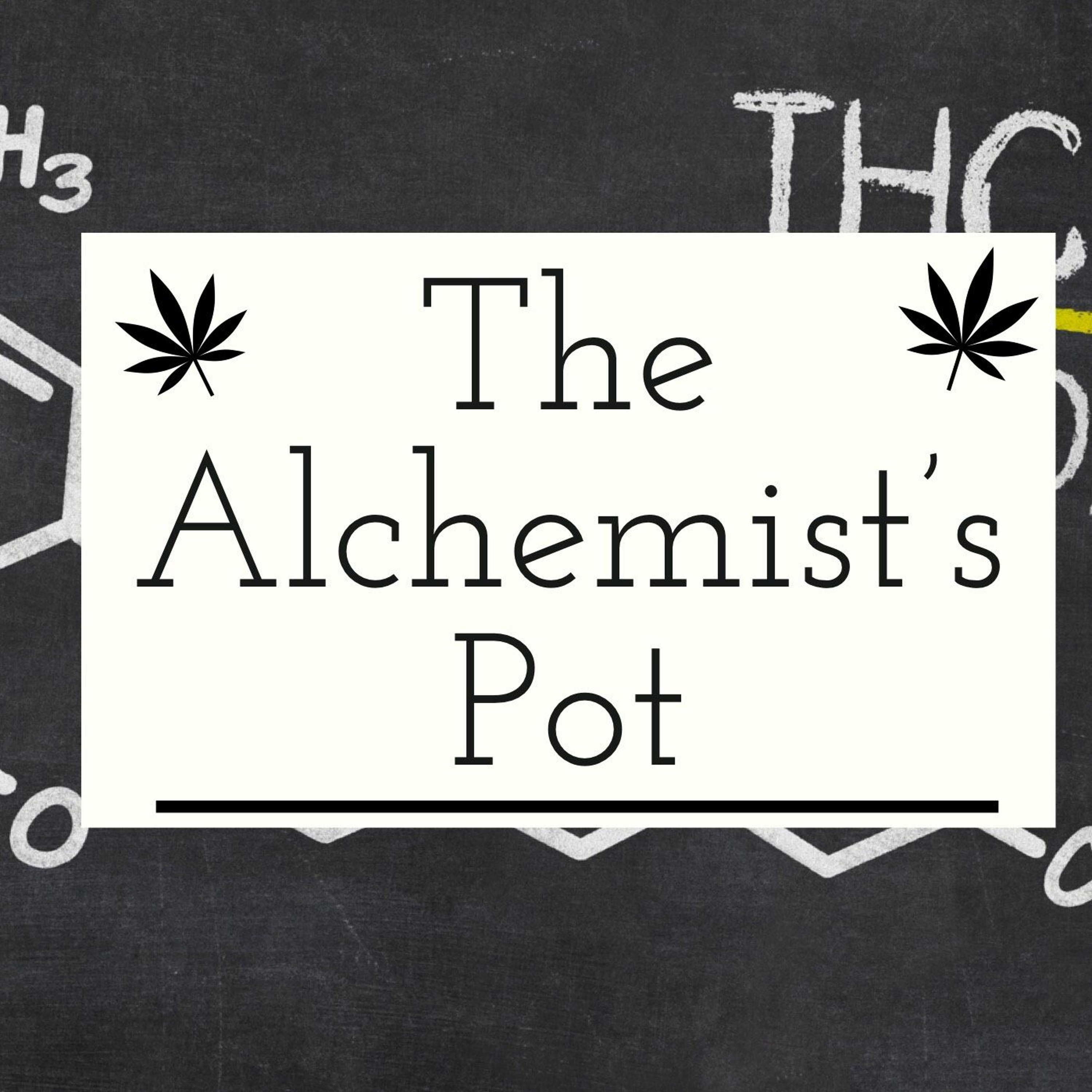 The Alchemist's Pot Season 1 Episode 2
