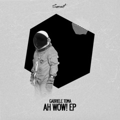 Gabriele Toma - Ah Wow ! (Original Mix)