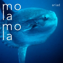 Mola mola - downtempo electronica