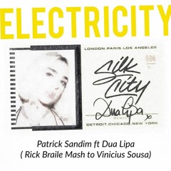 Patrick Sandim ft DL - Electricity (Rick Braile Mash to Vinicius Sousa)