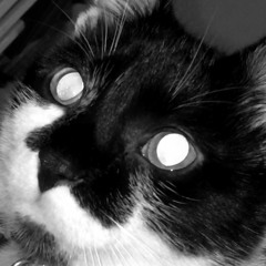 SWITCH (feat. Devōn) [Prod. Domz]