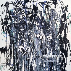 Haunted Summer & Avi Buffalo - Requiem / Panegyric