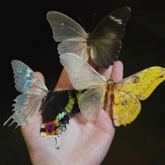 ALL MY EMOTIONS. 🍒🦋💫🧚🏼‍♀️