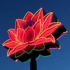 h a u s . m i x .  1