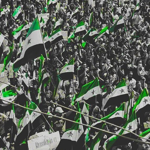 ربما - نص لعبيدة عامر