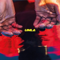 Alpha Wann - Freestyle COUVRE FEU sur OKLM Radio