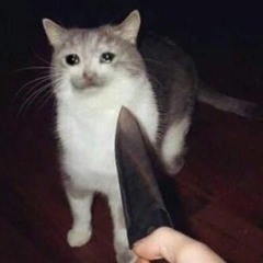 сфкц