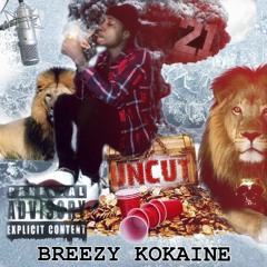 YNF (Feat) KaeeFoee [Prod.YoungFam]