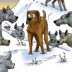 CADOG