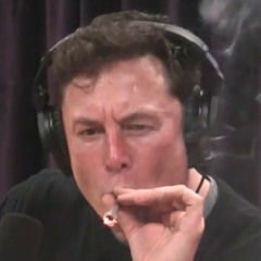 wOoDs (ft. lil timberly)