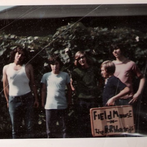 Stream Field Mouse and the RnR Wizards 1971 Johnny B. Goode by Tom Bauso Listen online for