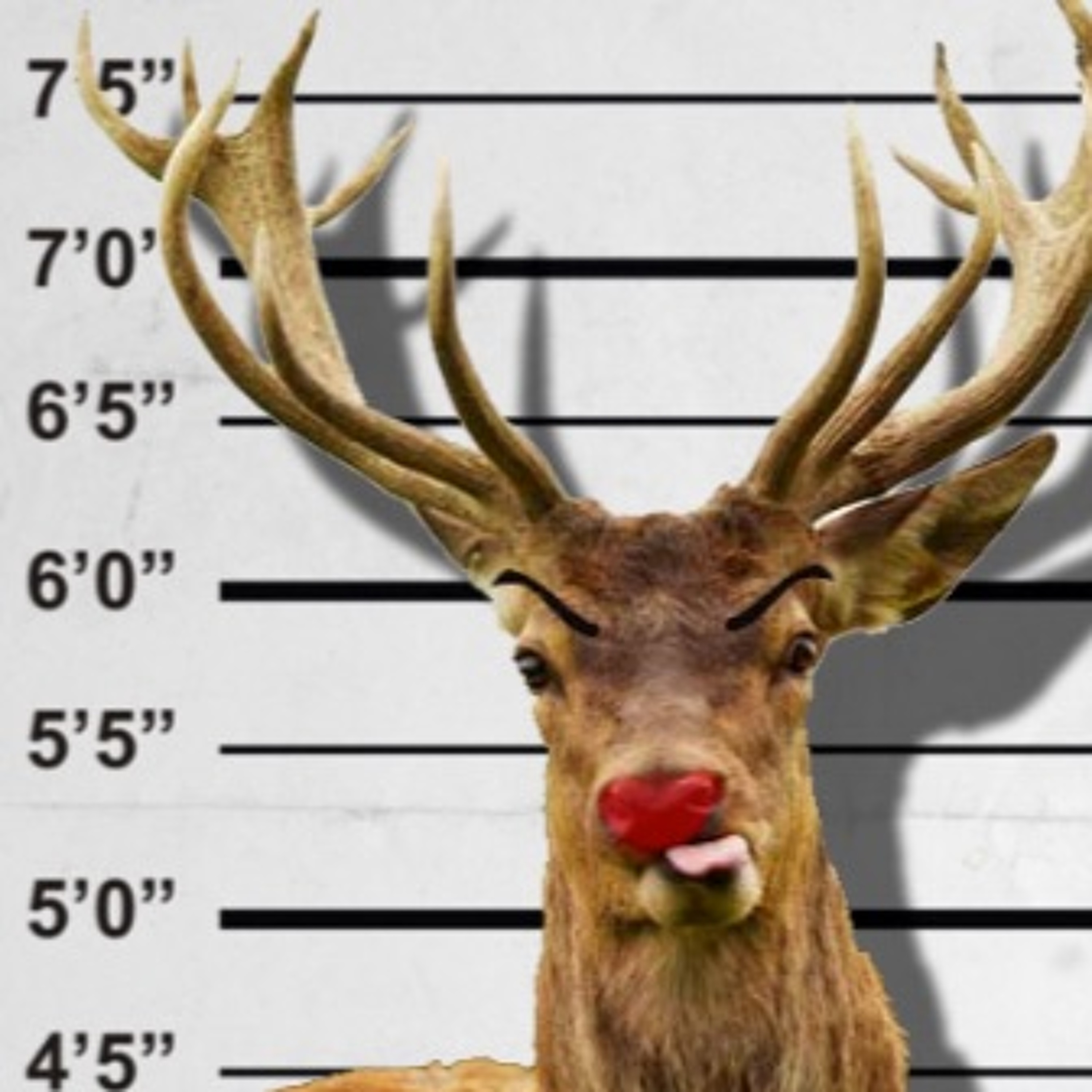 RoODuBdArEdEeR.MP3 episode artwork