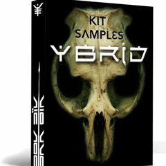 Demo DVD Kit Samples YBRID - DEMO 01