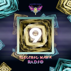 Electric Hawk Radio | Episode 9 | SAGZ
