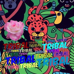 Tribal Rosa ( 1994  N.L. dub* )madein2011