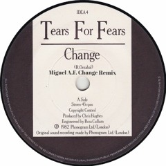 Tears For Fears - Change(Miguel A.F. Change Remix)