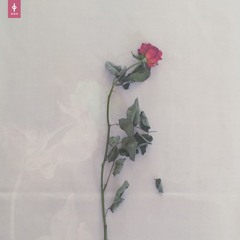 Lake Ülemiste - Ōis (Blossom)