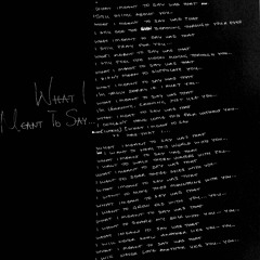 What I Meant To Say...