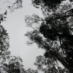 Gravity [Free Download]