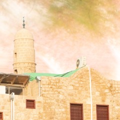 Ninja420 - Zohar Little Night Time