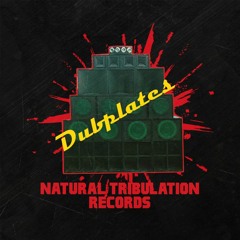 Natural Tribulation - Only Jah Know - Instrumental