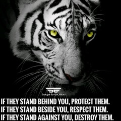 EPIC ROCK  Stand Alone by Generdyn Music [feat. Zayde Wolf]-1.mp3