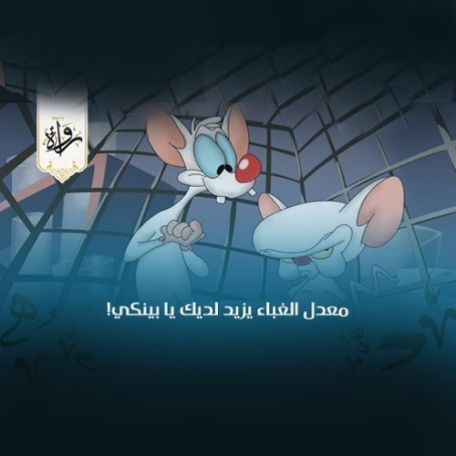 دندنات كرتونية | معدل الغباء يزيد لديك يا بينكي!
