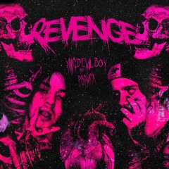 Revenge (feat. Yngdevilboy)