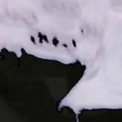 BABYDEMON2006 - NEVER FOLD