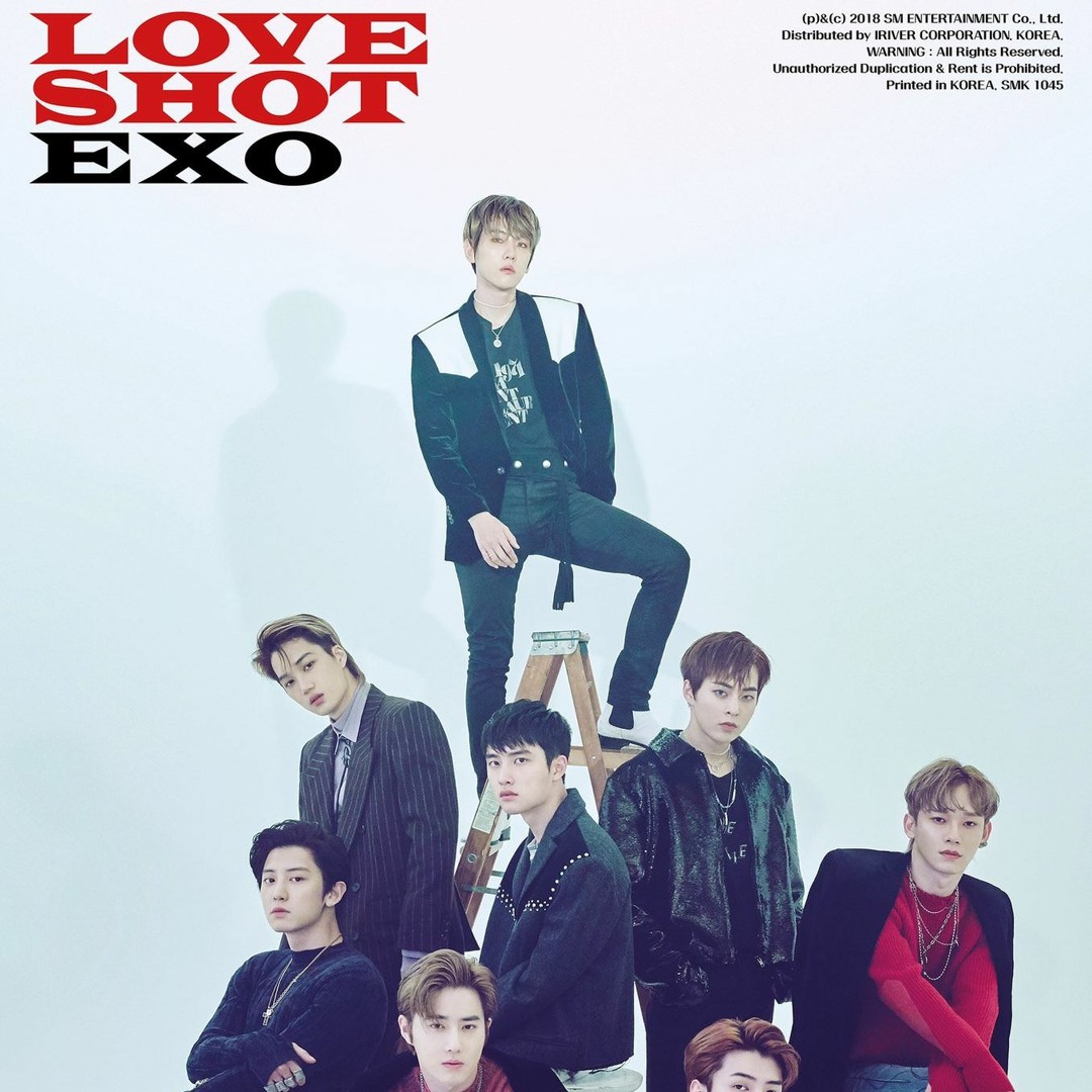 まとめ購入確認用900■『LOVE SHOT』 shot EXO Love Shot Lyrics (엑소 Love Shot 가사) (Color Coded