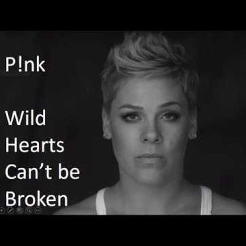 Pink, Sebastien T., Rubb, Well S. - Wild Hearts Can't Be Broken (Tico Braga Mash) FREE DOWNLOAD