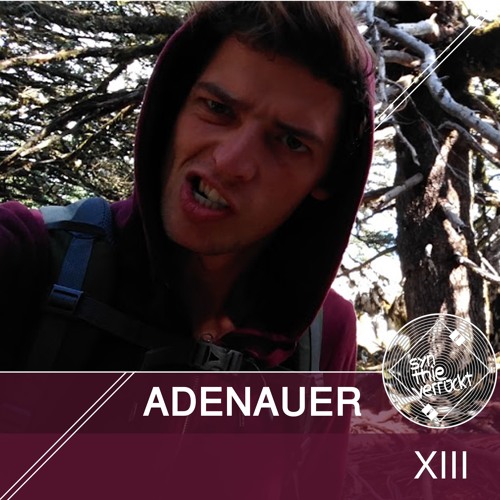 Wer Syn.thie eigentlich? XIII by Adenauer