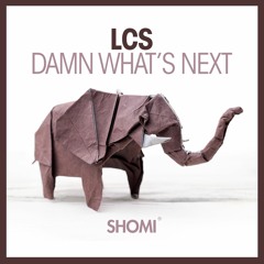 LCS - Damn What's Next
