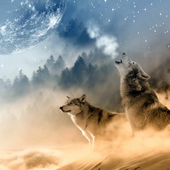 Destruction=Solution