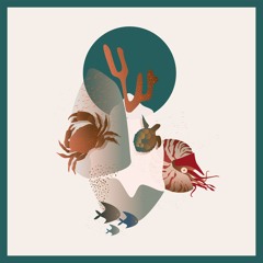 Various Artists - Nautilus