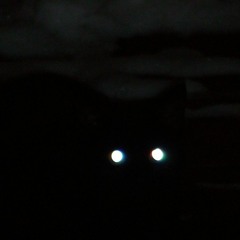 Muinasjutt ööst, kes tahtis lastega sõbraks saada